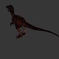 Realistic 3D Velociraptor Model With Brown Orange Stripes Standing Open Mouth