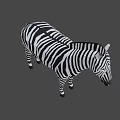 Detailed 3D Game Movie Character Zebra With Black White Stripes Standing Pose