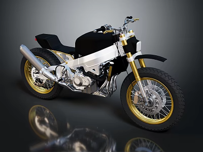 Stylish Black and Silver Motorcycle with Gold Rims on Reflective Surface 3d model