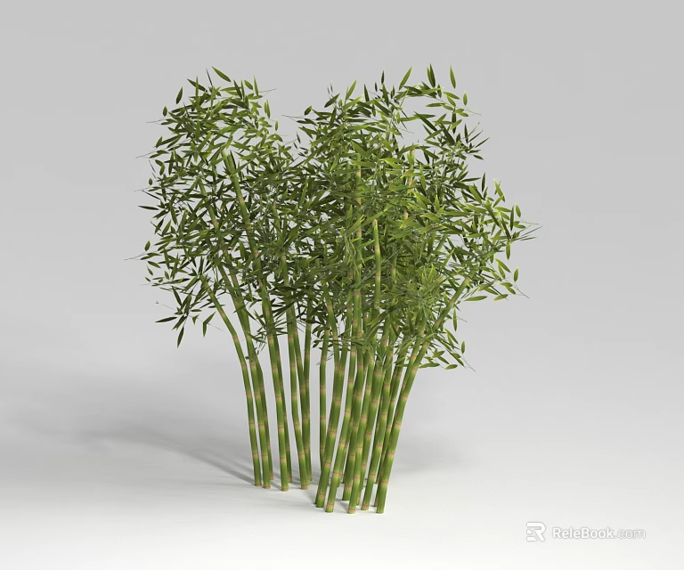Lush Green Bamboo Plants With Multiple Stems And Leafy Branches 3d model 