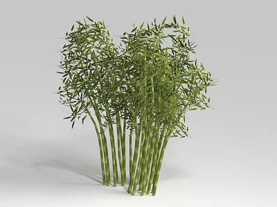 Lush Green Bamboo Plants With Multiple Stems And Leafy Branches 3d model