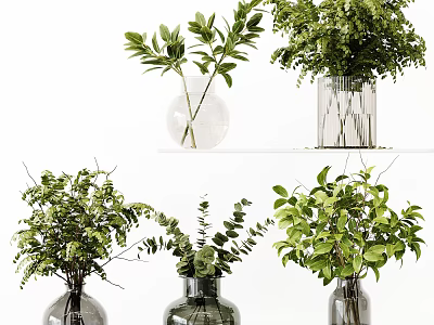 Transparent And Dark Glass Vases With Green Ferns Leaves And Eucalyptus Plants Arrangement 3d model