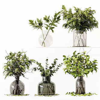 Modern Vase Hydroponic Green Plant Decoration Ornaments Glass Vase Green Plant Flower Decoration Ornaments Potted Plant Ornaments 3d model