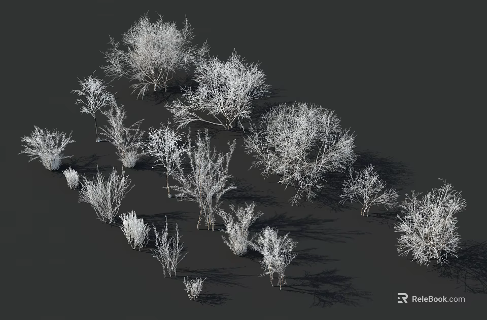 Multiple Snow Covered Arbor Trees in Winter With Dark Background and Shadows 3d model 