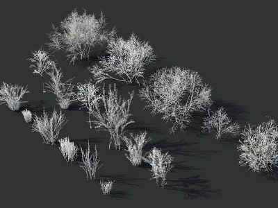 Multiple Snow Covered Arbor Trees in Winter With Dark Background and Shadows 3d model