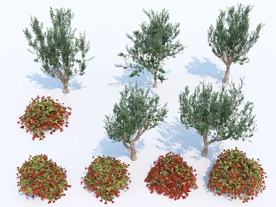 Various Forms Green Foliage Trees Displaying Different Shapes with Shadows and Red Green Leaf Shrubs 3d model