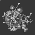 Elegant Silver Vase With White Magnolia Flowers And Green Branches