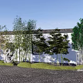 Bamboo Plants Growing Along White Wall With Gray Stone And Green Grass