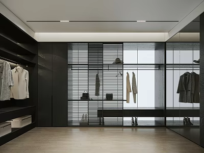 Modern Walk in Closet With Sleek Cabinets And Glass Storage 3d model