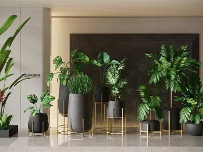 Lush Hanging Basket Plants with Green Leaves and Black Pots on Golden Stands 3d model