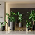 Lush Hanging Basket Plants with Green Leaves and Black Pots on Golden Stands