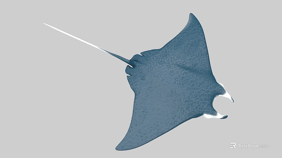 Large Blue Manta Ray With Flat Body And Long Tail Swimming In Ocean 3d model 
