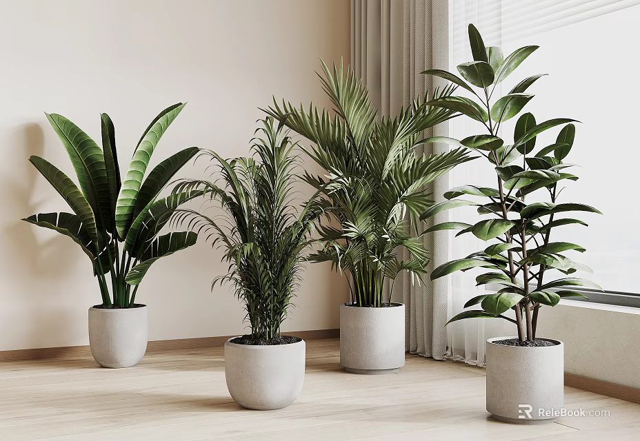 Indoor Potted Plants With Various Green Foliage In White Pots And Wooden Floor 3d model 