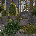 Lush Green Shrub Plants In Modern Outdoor Garden With Stone Walls And Concrete Planters