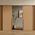 Modern Wooden Sliding Doors in Home Interior with Potted Plant and Artwork