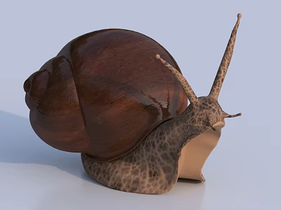 Close Up View Of Reptile Snail With Brown Shiny Shell Spotted Body And Long Antennae 3d model