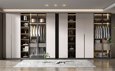 Modern wardrobe combination 3d model