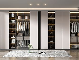 Modern wardrobe combination 3d model