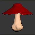 Red Mushroom Plant With Bright Red Cap And Light Colored Stem On Gray Background