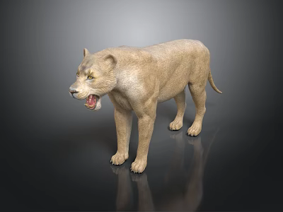 Standing Light Brown Lion With Open Mouth And Dark Background Reflection 3d model