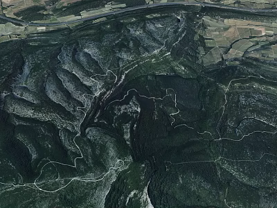 Aerial Planning of Natural Mountain Terrain With Winding Paths and Green Vegetation 3d model