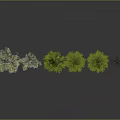 Assorted Trees Including Evergreens and Leafless One Arranged on Dark Surface 3d model