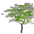 Lush Arbor With Purple Flowers Green Leaves And Branches In Bloom