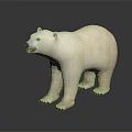 Lifelike White Polar Bear Standing On Dark Background With Reflection
