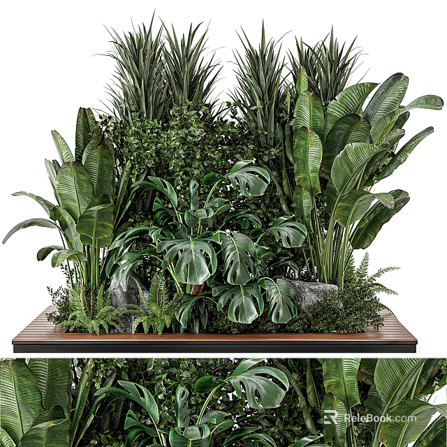 Indoor Tropical Green Plants Arrangement With Monstera Banana Leaves Ferns Stones And Wooden Platform 3d model 