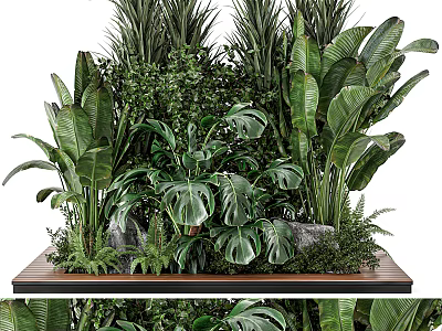 Indoor Tropical Green Plants Arrangement With Monstera Banana Leaves Ferns Stones And Wooden Platform 3d model