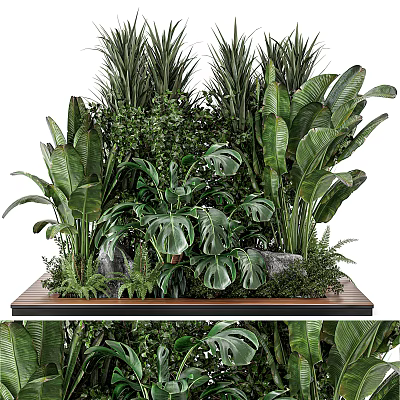 Indoor Tropical Green Plants Arrangement With Monstera Banana Leaves Ferns Stones And Wooden Platform 3d model
