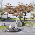 Serene Courtyard Garden With Brown Maple Tree Rocks And Zen Landscaping