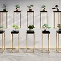 Golden Metal Plant Stands With Bonsai Plants In Modern Interior Design