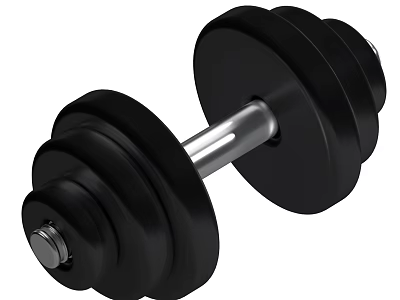 Adjustable Black Dumbbell With Silver Bar For Home Gym Strength Training 3d model