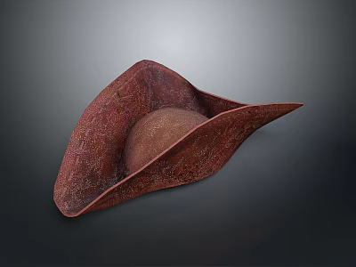 Stylish Red Textured Wide Brim Hat With Unique Artistic Design 3d model