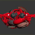 Red Mechanical Heart Shaped Doll With Intricate Internal Metal Components And Creative Design