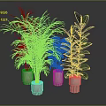 Indoor Green Plants With Lush Foliage In White Ceramic Pots On Dark Surface