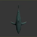 3D Green Shark Model With Open Mouth And Dark Background 3d model