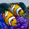 Modern Fish Underwater World 3d model