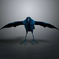 Stunning Deep Blue Crow Standing with Spread Wings in Minimal Gray Background