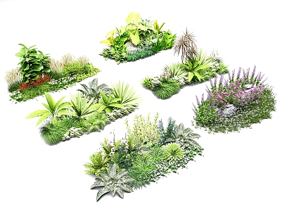 Plant combination flowers and grass grounds flowers and grass groups courtyard flowers and plants flower border plants 3d model