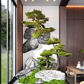 Indoor Landscaping Moss Welcome Pine Pohan Pine Landscape Stone Dry Landscape 3d model