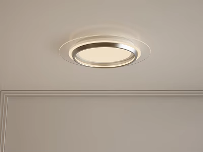Modern Round Flush Mount Ceiling Light With Metal Frame For Indoor Lighting 3d model