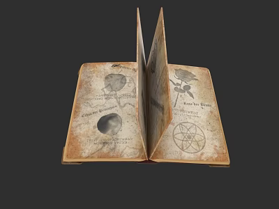 Hand Carved Sculptures In Vintage Book With Rose Moon And Star Symbols 3d model