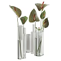 Transparent Glass Cylindrical Vases With Red Anthurium Flowers And Green Pink Leaves