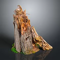 Small Green Plants Growing At Tree Stump Base With Rough Texture And Brown Orange Colors