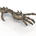 Animal Claw With Spiked Projections And Rough Textured Surface Design