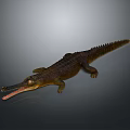 Detailed Reptile Crocodile With Open Mouth Long Snout Scaly Skin And Tail