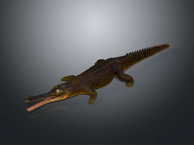 Detailed Reptile Crocodile With Open Mouth Long Snout Scaly Skin And Tail 3d model Detailed Reptile Crocodile With Open Mouth Long Snout Scaly Skin And Tail 3d model