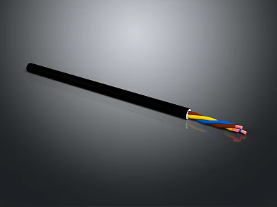 Black Electric Cable With Colored Inner Wires And Protective Outer Sheath 3d model